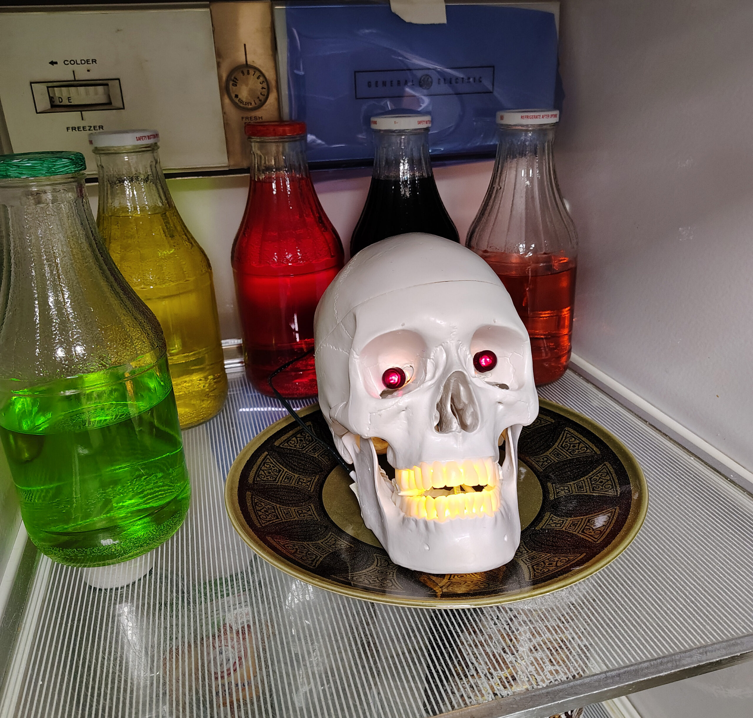 Brady Bunch House Easter Egg Skull in Fridge
