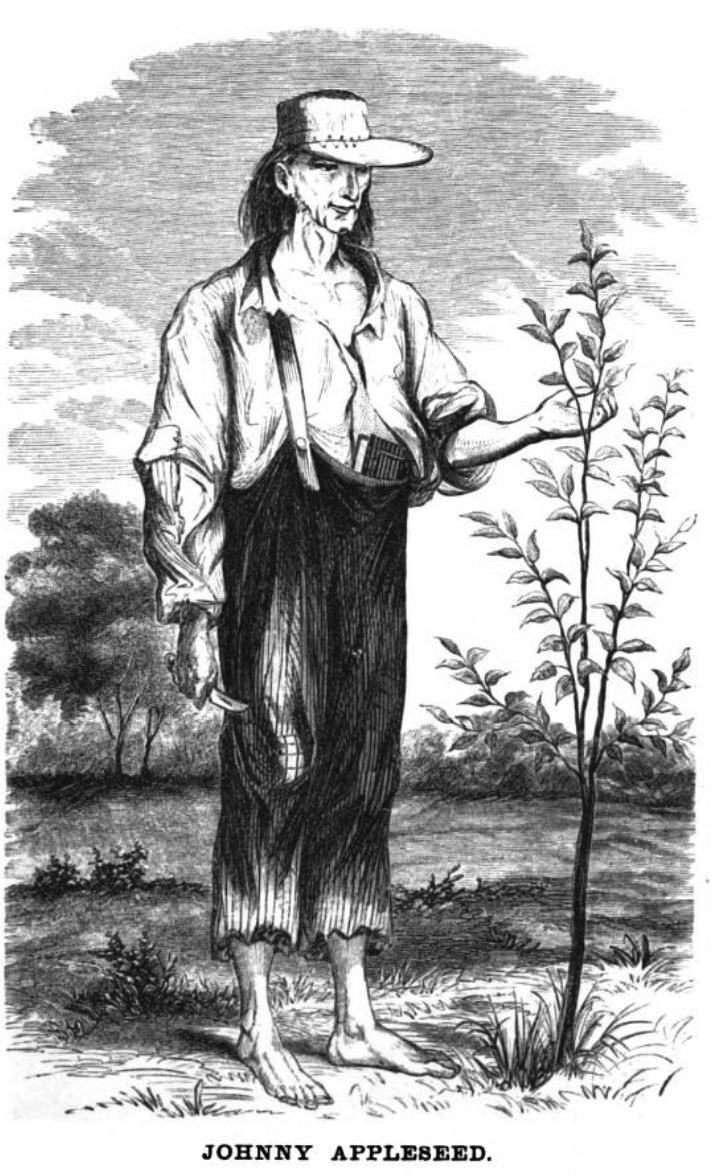 Drawing of Jonathan Chapman, aka Johnny Appleseed.