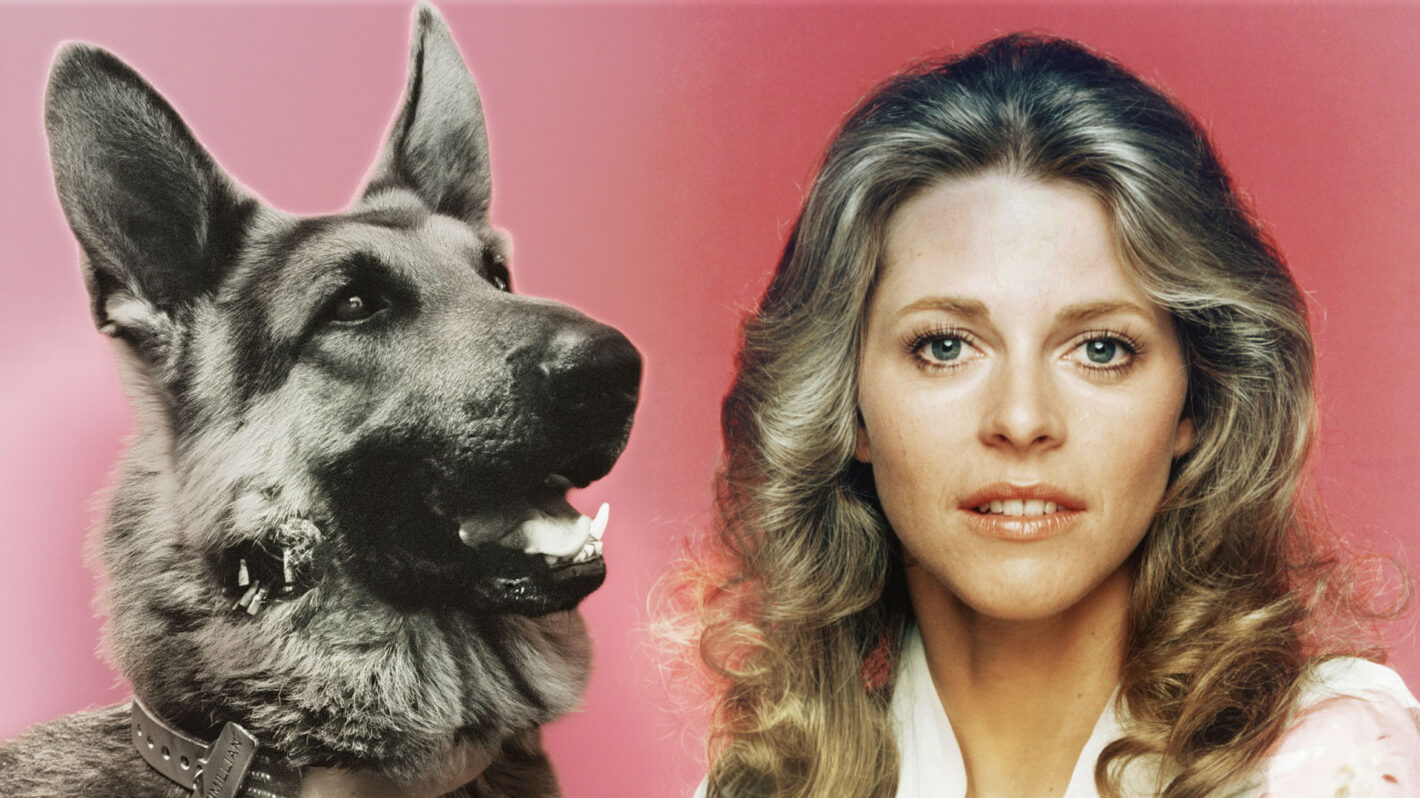 Whatever Happened to Max the Bionic Dog From ‘The Bionic Woman’?
