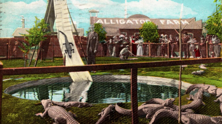 Alligator Farm Los Angeles