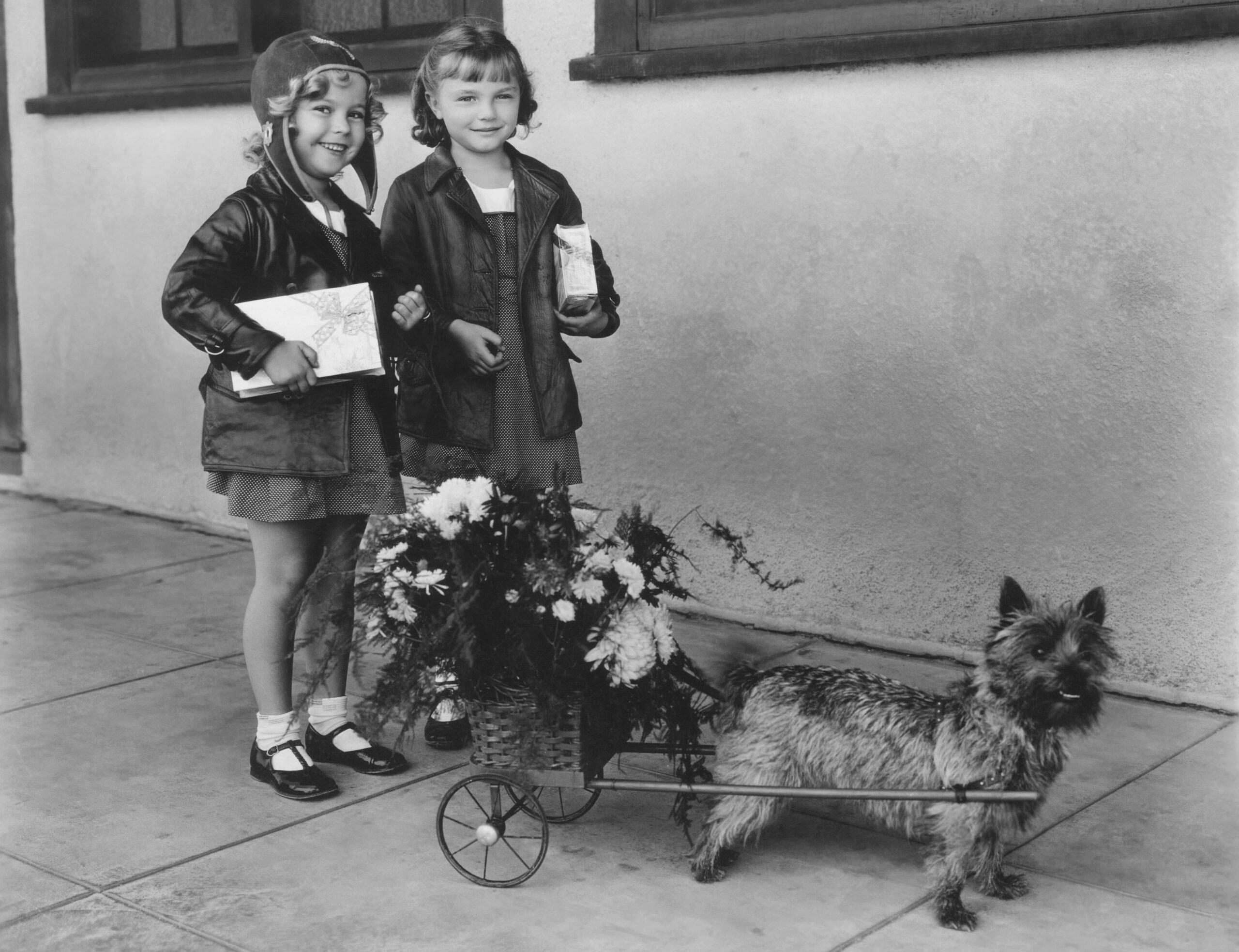 From left: Shirley temple in costume for BRIGHT EYES and her stand-in Marilyn Granas taking Rages the dog out for a promenade along dressing room row at the Fox Film studio, 1934