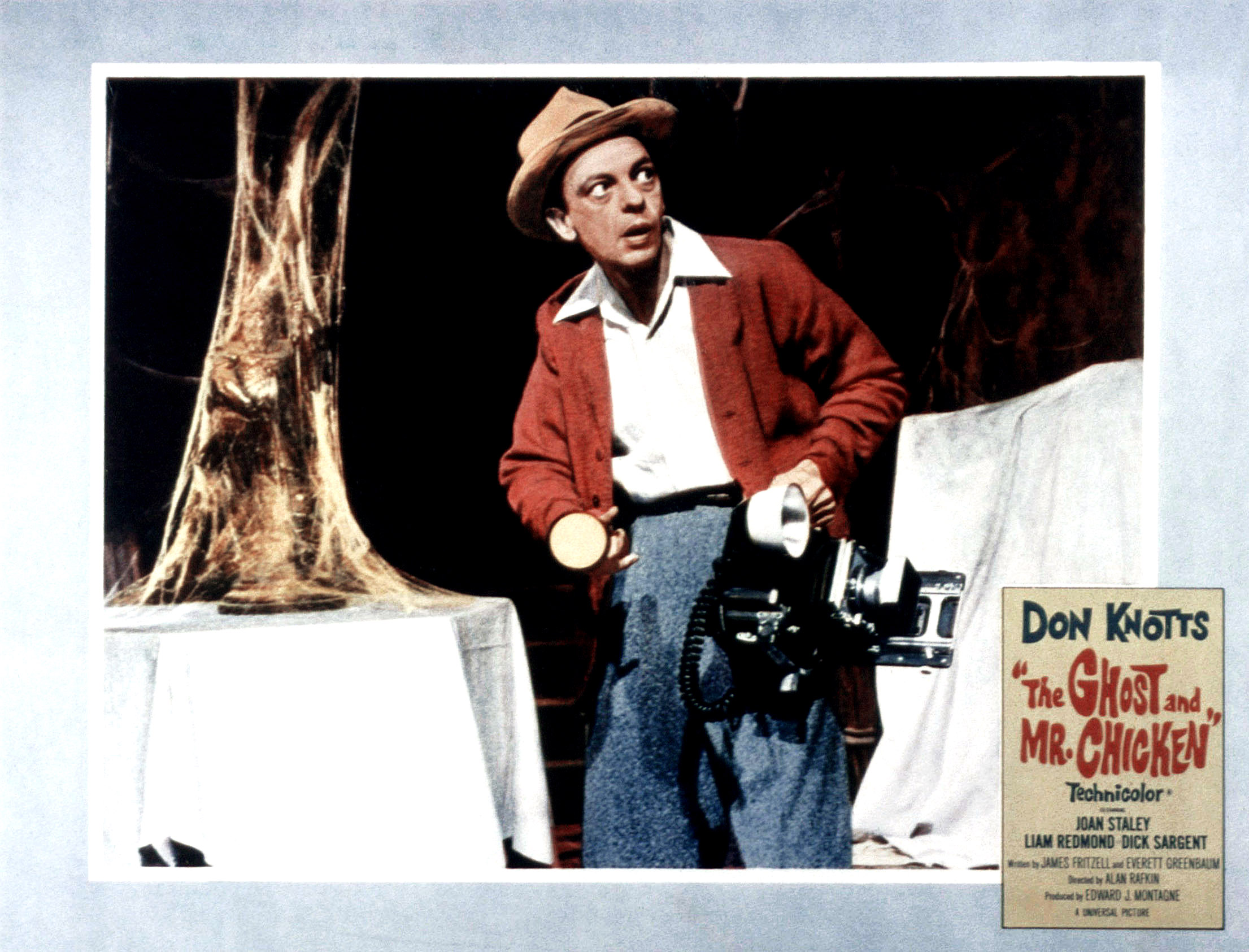 THE GHOST AND MR. CHICKEN, Don Knotts, 1966