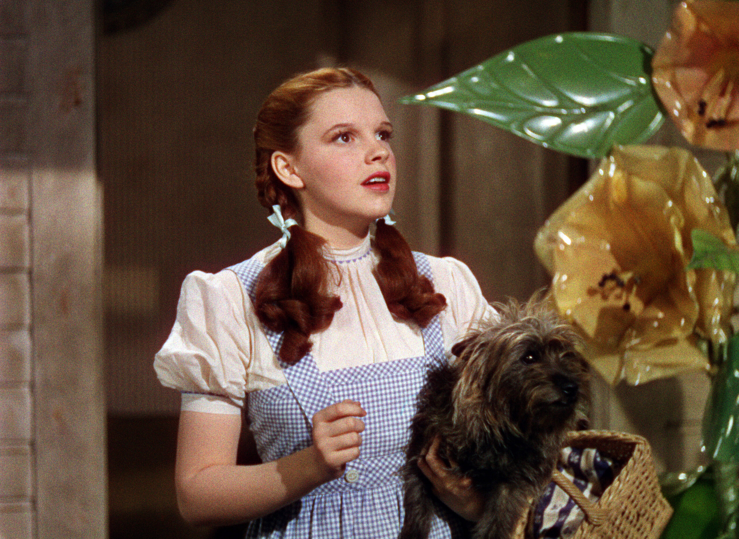 THE WIZARD OF OZ, Judy Garland, 1939