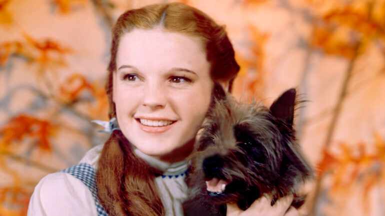 THE WIZARD OF OZ, Judy Garland, Toto, 1939