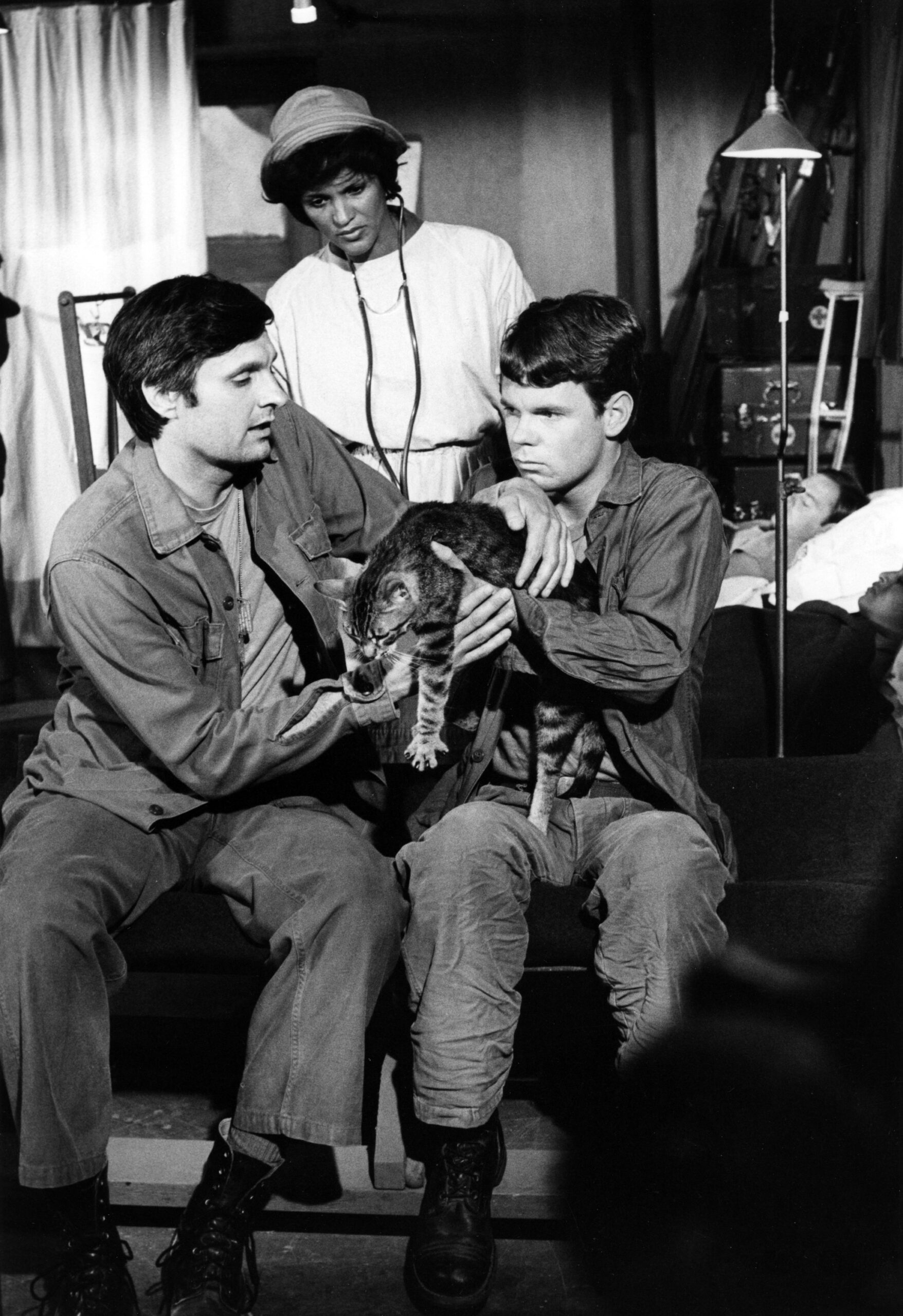 MASH, (aka M*A*S*H*), from left: Alan Alda, Gwen Farrell, Greg Mabrey, with Fluffy the cat, 'Springtime', season 3, ep. 6, aired 10/15/1974, (19721983).