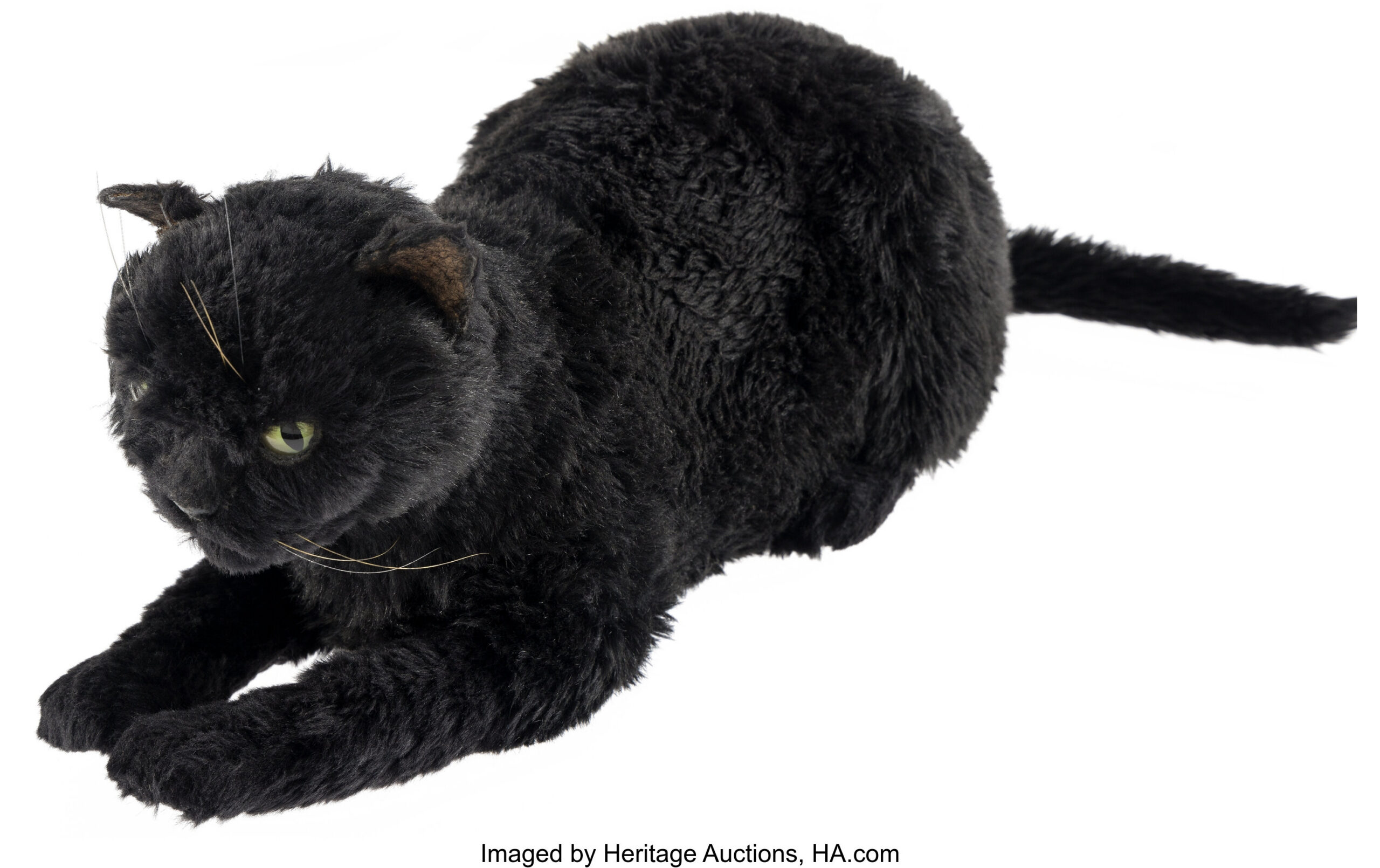7 Fun Facts About Salem the Cat From 'Sabrina the Teenage Witch