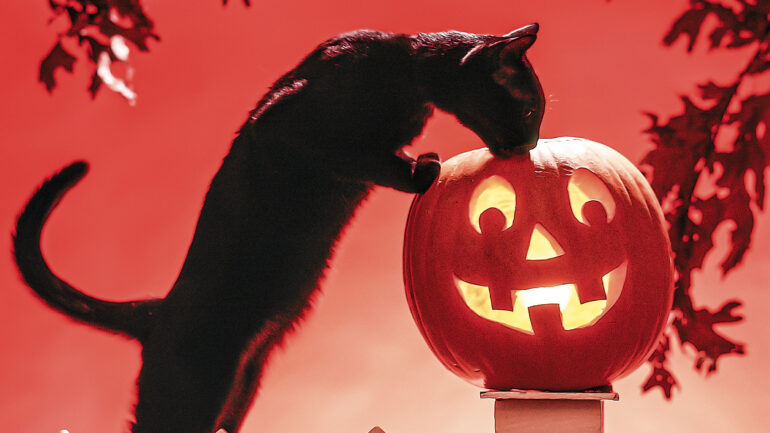 1980s JACK-O'-LANTERN & BLACK CAT